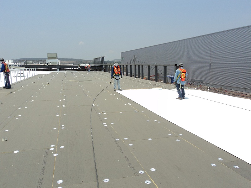 TPO Roof